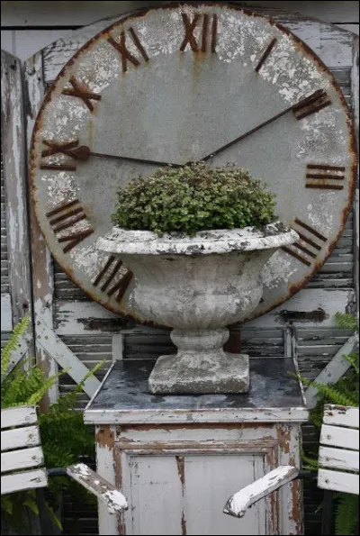 Parmi ces animaux, lequel vit le plus longtemps ?