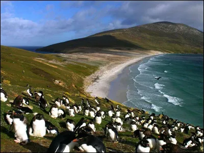 Comment se nomme cet archipel de l'Atlantique Sud, dont le nom est issu du gentilé d'une ville de Bretagne et qu'on peut aussi appeler îles Falkland, avec plus de 3 000 habitants ?