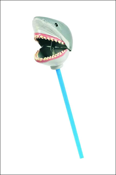 Comment s'appelle cet animal ?