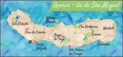 Cette &icirc;le est la deuxi&egrave;me plus grande &icirc;le des A&ccedil;ores en superficie derri&egrave;re l'&icirc;le de Pico.