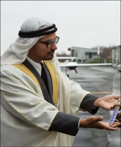 Quel est le personnage joué par Michael Pena ?