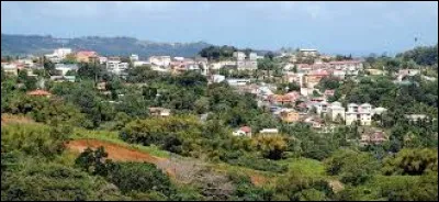 Dans quel département se situe la ville de Saint-Joseph ?