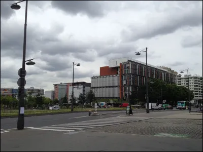 Quelle fleur est le symbole de l'amour naissant ?