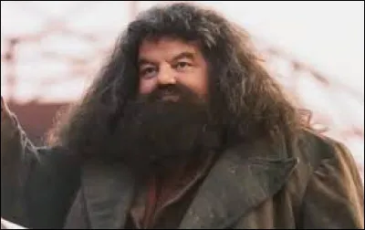 Vrai ou faux ? L'acteur qui interprète Hagrid avait signé un contrat de trois films.