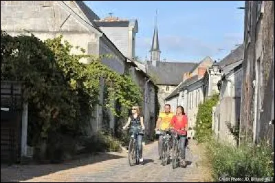 Commune des Pays-de-la-Loire, dans la m&eacute;tropole d'Angers, B&eacute;huard se situe dans le d&eacute;partement ...