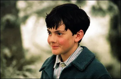 Dans "Le Monde de Narnia", que répond Edmund à Lucy quand sa sur lui raconte qu'il y a une forêt dans l'armoire ?