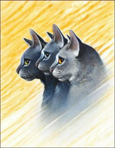 Dans quel clan sont les petits d'Étoile Bleue ?