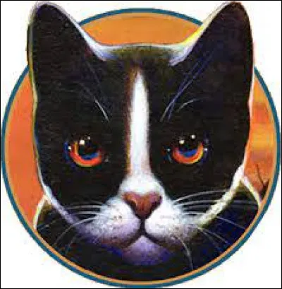 Qui sont les enfants de Chipie ?