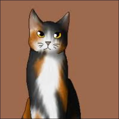 Qui sont les enfants de Poil de Châtaigne ?