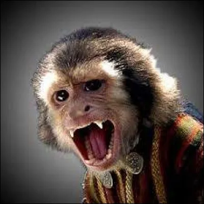 Cette image appartient à ...