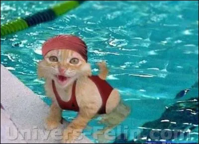 Trouvez le nom d'une sportive célèbre !