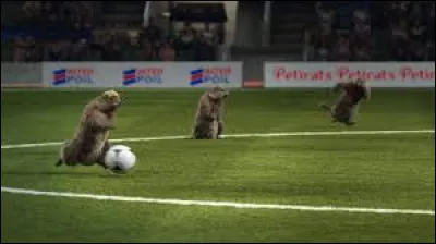 Trouvez le nom du sport !