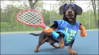 Trouvez le nom de la sportive !