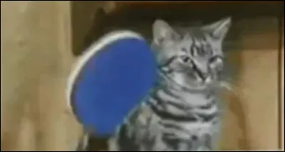 Trouvez le nom de ce sport !