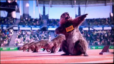 Trouvez le nom de ce sportif !