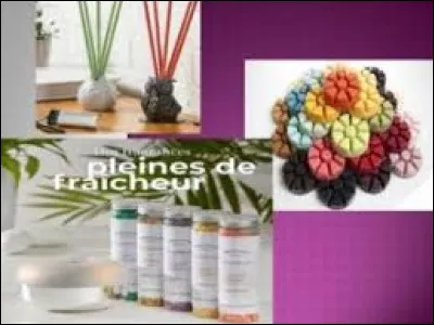 Qu'utilise-t-on dans les diffuseurs électriques ou diffuseurs avec réchaud ?