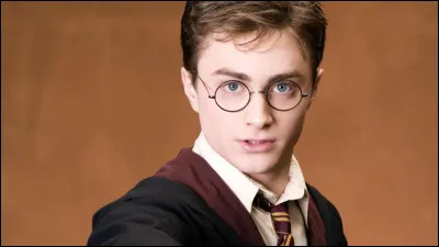 Avec qui Harry va-t-il à la caverne ?