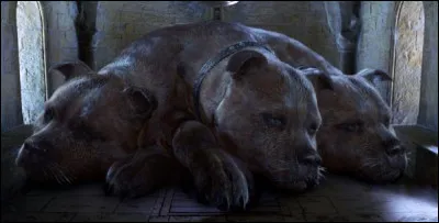 Que garde Touffu sous la trappe ?