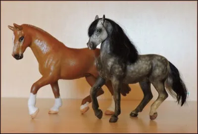 Comment te préfères-tu ?