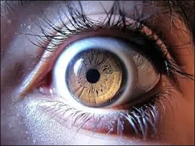 Qui chantait "Quand je vois tes yeux" ?