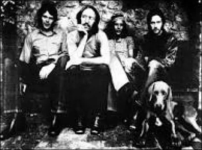 Malgré sa très courte carrière d'un an entre 1970 et 1971, ce groupe de blues rock britannique a enregistré une chanson très célèbre, "Layla", parue dans l'album "Layla and Other Assorted Love Songs" en 1970. Eric Claptin était le chanteur du groupe.