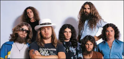 "Free Bird" (1973) et surtout "Sweet Home Alabama" (1974) ont fait connaître ce groupe de rock américain dans le monde entier. D'abord nommé My Backyard, le groupe est fondé en 1964. Le 20 octobre 1977, un accident d'avion coûte la vie à plusieurs membres du groupe et les survivants sont gravement blessés, cela met fin provisoirement à la carrière du groupe qui se reforme à partir de 1987.