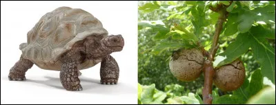 Bon, j'avoue parfois être un peu dyslexique quant à la prononciation... mais à une consonne près, on est bon !