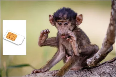 Et c'est reparti avec les défauts de prononciation et les approximations ! Mais vous allez faire avec, non ?