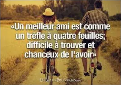 Comment s'appelle son meilleur ami ?