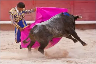 Qui a chanté "La corrida" ?