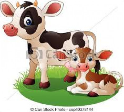 Comment appelle-t-on le petit de la vache ?