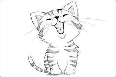 Comment dit-on "Chat" en anglais ?