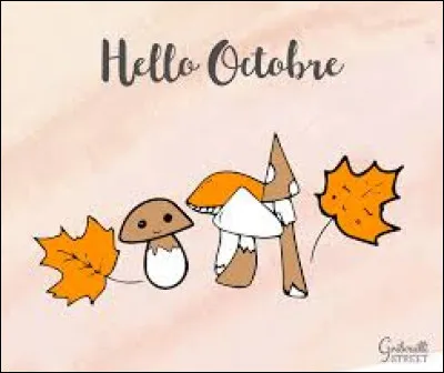 Quel mois viens après octobre ?