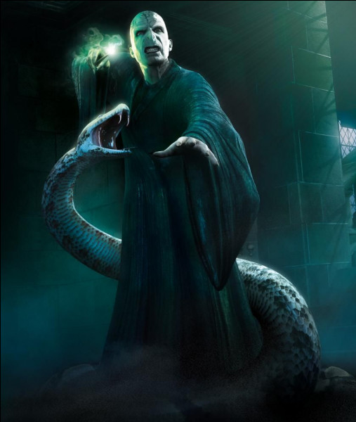 Lord Voldemort est un animagus.