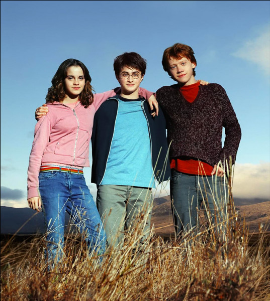 Dans le livre ''L'ordre du Phénix'', quelle est la première phrase prononcée par Harry lorsqu'il revoit Hermione et Ron ?