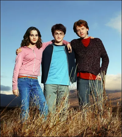 Dans le livre ''L'ordre du Ph&eacute;nix'', quelle est la premi&egrave;re phrase prononc&eacute;e par Harry lorsqu'il revoit Hermione et Ron ?