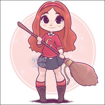 Ginny Weasley, nous savons tous qu'elle joue dans l'équipe de Quidditch Les Harpies de Holyhead, mais quel métier fait- elle plus tard ?