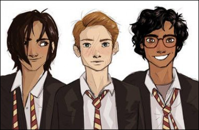 Les Maraudeurs ! Citez-moi leurs surnoms dans le bon ordre.