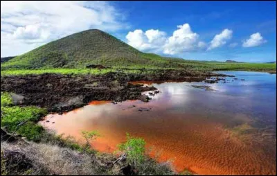 Et pour finir, quel est le climat des îles Galápagos ?