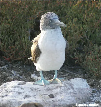 Combien d'habitants contient l'archipel ?