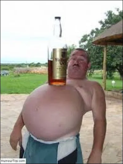 Qui a écrit le recueil de poèmes "Alcools" ?