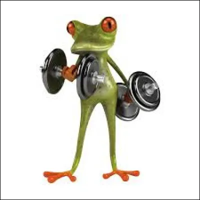 Comment s'appelle la jeune fille dans "La Princesse et la Grenouille" qui se transforme en grenouille ?