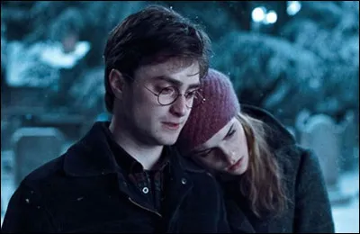 Harry Potter et l'Ordre du phénix : Durant l'été chez les Dursley, Harry Potter, encore traumatisé par la mort de...