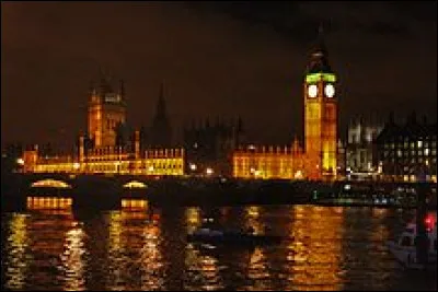 Harry Potter et l'Ordre du phénix : Parmi les membres de l'ordre du phénix se trouvent :