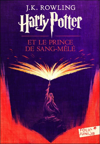 Harry Potter et le Prince de sang-mêlé : Facile ! Qui est le Prince de sang-mêlé ?