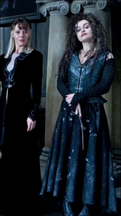 Harry Potter et le Prince de sang-mêlé : Bellatrix Lestrange et sa soeur Narcissa Malefoy se rendent chez...