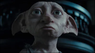 Dobby est un serviteur.