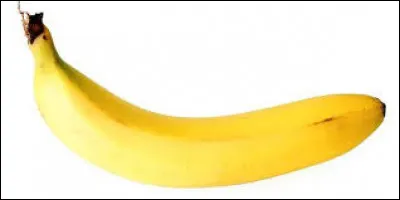 C'est une pratique sexuelle consistant à gifler son partenaire sexuel avec son pénis.