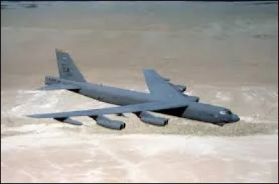 C'est le surnom d'un bombardier.