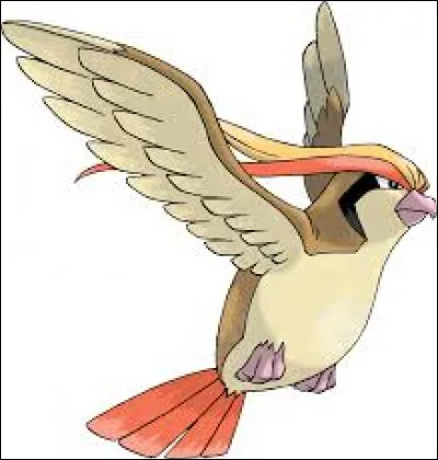 Quel est le nom de ce Pokémon ?